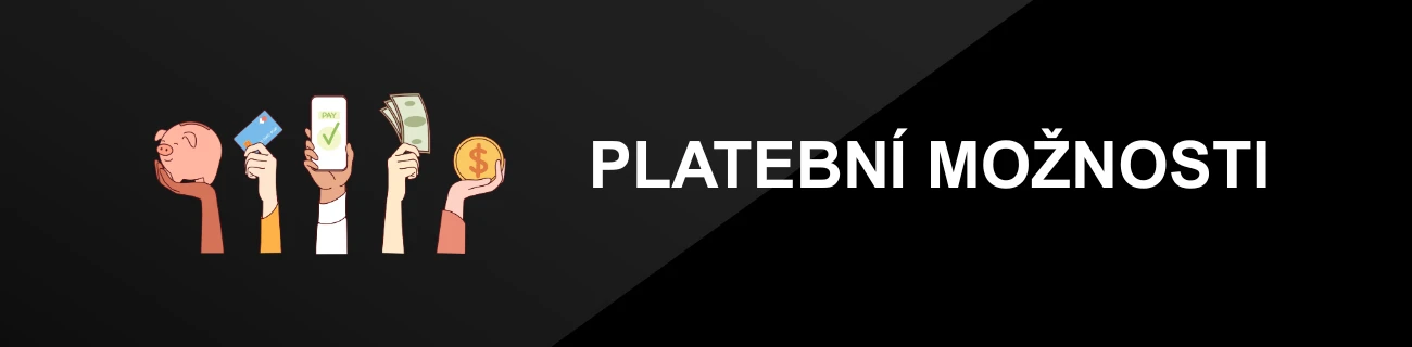 PLATEBNÍ MOŽNOSTI
